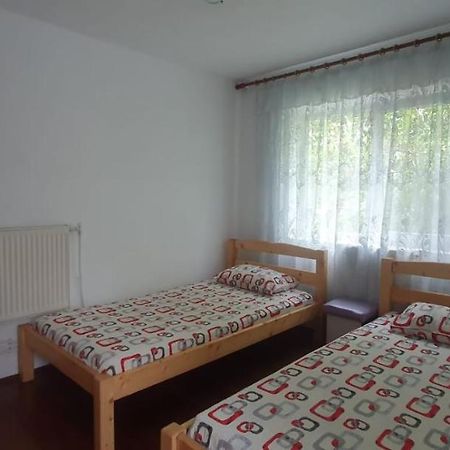 Casa Pitaru Ξενοδοχείο Calafat Εξωτερικό φωτογραφία