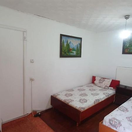 Casa Pitaru Ξενοδοχείο Calafat Εξωτερικό φωτογραφία