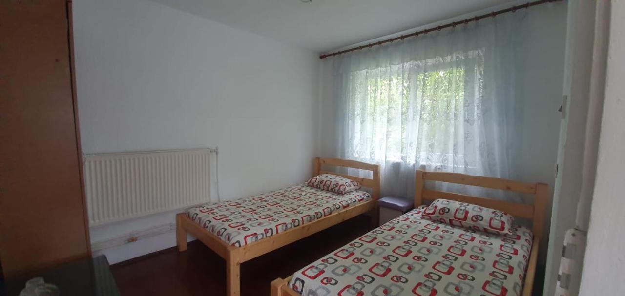 Casa Pitaru Ξενοδοχείο Calafat Εξωτερικό φωτογραφία
